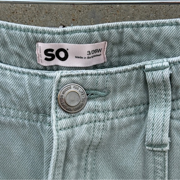 SO Carpenter Cargo Pants - Picture 3 of 6